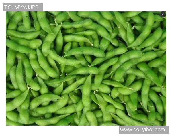 短筒足球袜的选择与搭配技巧助你提升球场表现与时尚感 短筒足球袜的选择与搭配技巧助你提升球场表现与时尚感