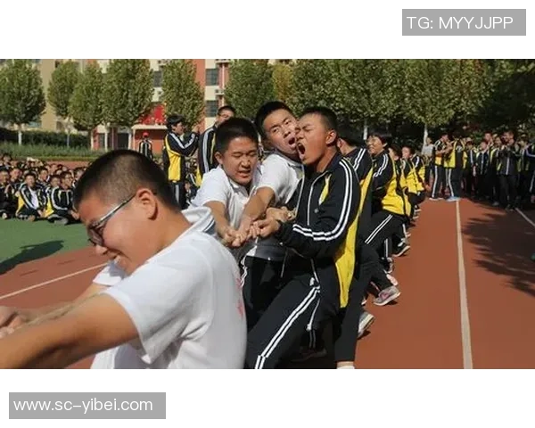 足球场上的割喉事件引发的安全隐患与体育精神的深刻反思