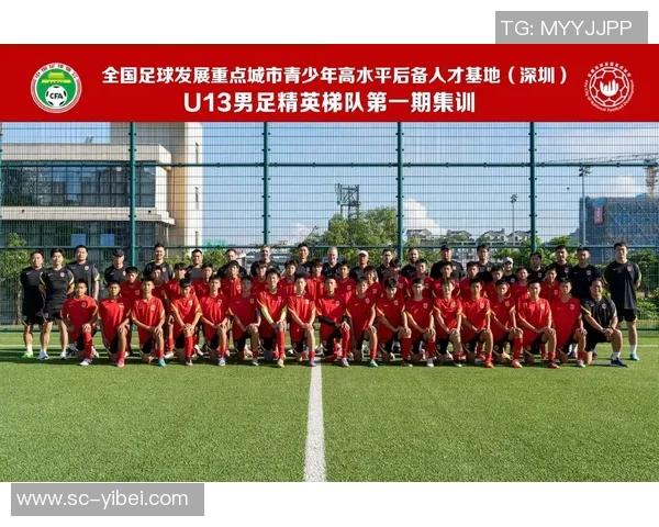 足球俱乐部运作机制解析及其对球队发展的影响研究 足球俱乐部运作机制解析及其对球队发展的影响研究