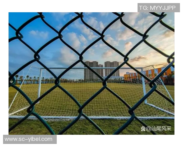 足球场上的激情与梦想交织的绿茵世界尽显运动魅力与团队精神